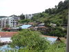 P8010201.JPG